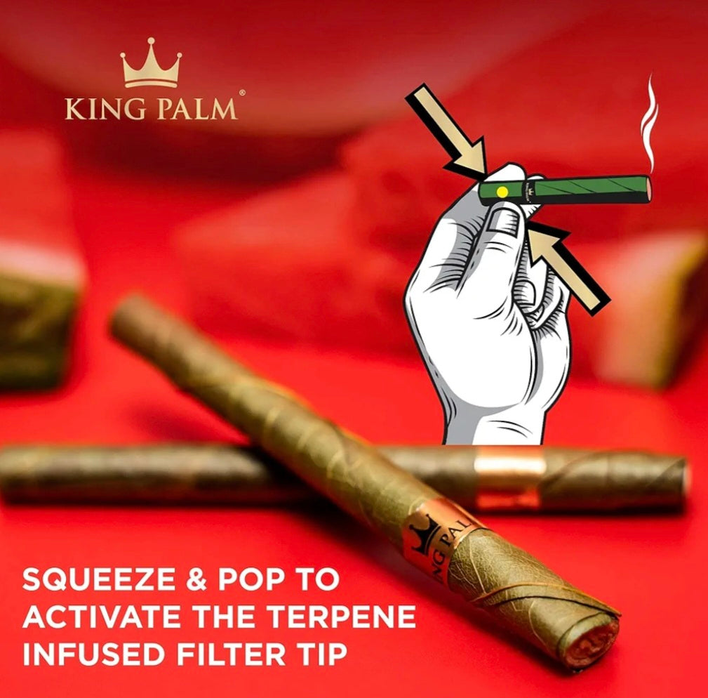 KING PALM WATERMELON WAVES-LEAF TUBES  20 PER PACK
